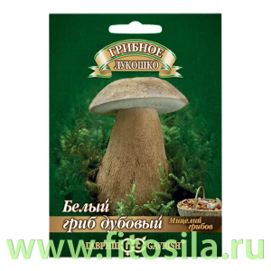 Белый гриб Дубовый на зерновом субстрате, больш. пак. 15 мл (семена для проращивания)