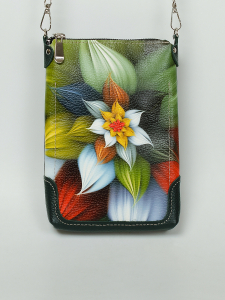 Сумка Nicco print