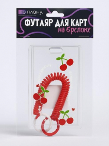 Футляр для карт с брелоком ПО ПЛАНУ. 