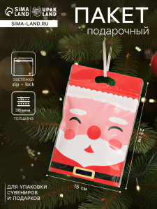 Пакет подарочный новогодний, с zip-lock застежкой, «Дед Мороз», 15?23±1 см