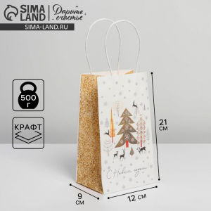 Пакет подарочный новогодний крафтовый «С Новым годом», 12?21?9 см