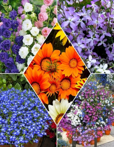 Набор Альпийская горка 15 пакетов