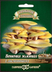 Вешенка золотая Лимонная на древесн. палочке, больш. пак. 12 шт