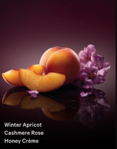 Midnight Magic Fragrance Mist