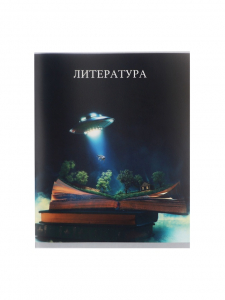 Тетрадь предметная Calligrata TOP «Школьный стиль», 48 листов в линию Литература, со справочным материалом, пластиковая обложка, блок офсет