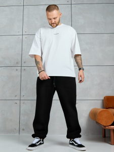 Брюки мужские Тренд