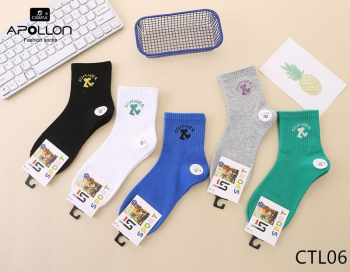 Носки  подростковые ( 5 пар ) арт.CTL06 (р 31-34)