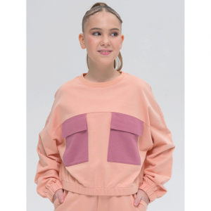 GFNY5318/1 толстовка для девочек (1 шт в кор.)