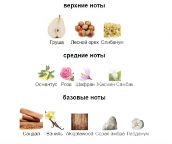 AMOUAGE GUIDANCE edp 100ml