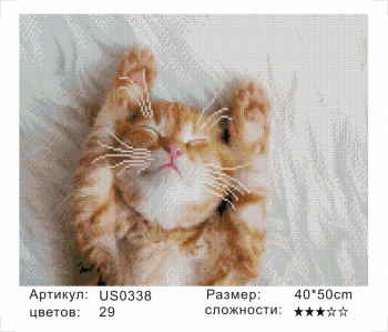 US0338 Без подрамника мозаика 40*50