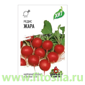 Редис Жара 2,0 г ХИТ х3 (семена для проращивания)