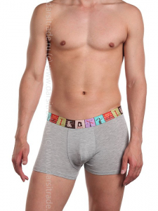 TS8023-1 Трусы мужские Дроп Tousite боксеры