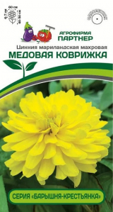 3380P Цинния МЕДОВАЯ КОВРИЖКА / мариландская махровая 5шт