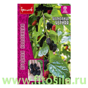 Шелковица Чёрная 0,2г (семена для проращивания)