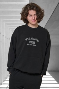 толстовка мужская 3509-02 Новинка