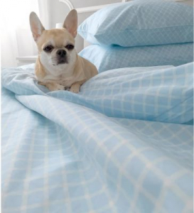 Наволочка Виши голубой бязь