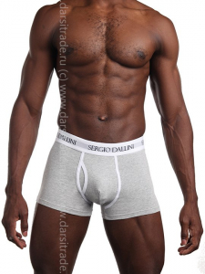 SD2941-3 Трусы мужские Дроп Sergio Dallini боксеры