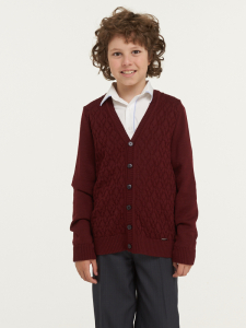 Жакет для мальчиков 183-7101