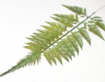 Искусственные цветы, Ветка - лист папоротника для венка (1010237)