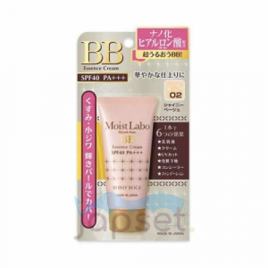 Moisture Essense Cream Увлажняющий тональный крем - эссенция, сияющий беж, 33 гр