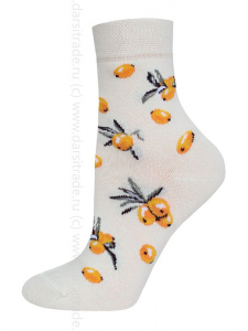 Носки женские 16С1102 670 Брестские Classic Conte [6 шт] Дроп х/б