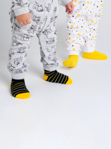 Носки для мальчика, 2 пары в комплекте