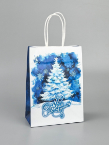 Пакет бумажный подарочный новогодний крафт «С Новым годом» 15?21?8 см