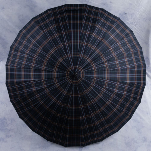 зонт 
2.SLY17103-02