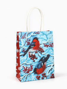 Пакет бумажный подарочный новогодний крафт «Снегири» 16?12?6 см