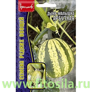 Дыня-малышка Арбузная 5шт (семена для проращивания)
