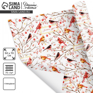 Упаковочная бумага на новый год «Птицы на ветвях», 50?70 см, глянцевая