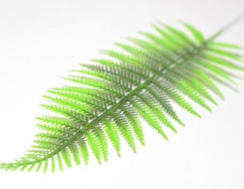 Искусственные цветы, Ветка - лист папоротника широкий (1010237)