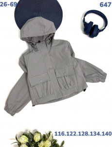 Ветровка 647 серый