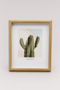 Фоторамка «Indoor plants», светлое дерево (20*26 см)