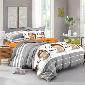 Комплект постельного белья Зима-Лето Мартин поплин