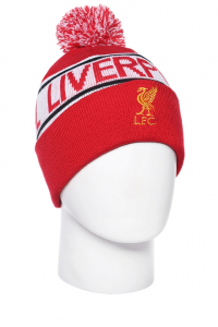 Шапка Zetta F-63