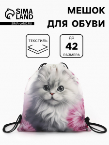 Мешок для обуви «Котёнок», на стяжке, 36?0.5?42 см