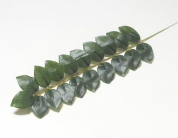 Искусственные цветы, Ветка лист рускус для венка (1010237) зеленый