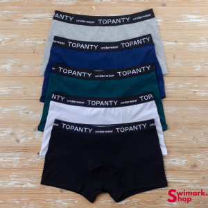 Мужские боксеры TOPANTY TP-8001