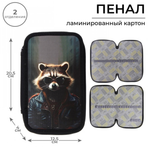 Пенал школьный, 2 секции, 12.5?20.5?4 см «Енот»