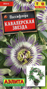 1652A Пассифлора Кавалерская звезда 5шт