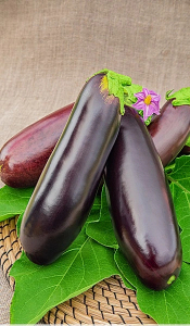 Баклажан Мулат F1 (Селекция 