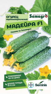 8050N Огурец Мадейра F1 5шт