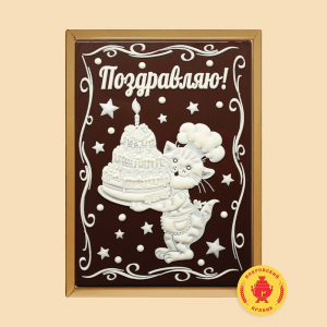 Котик в колпаке с тортом 