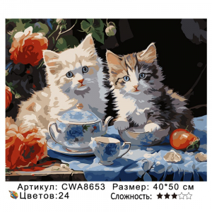 CWA8653 Под заказ