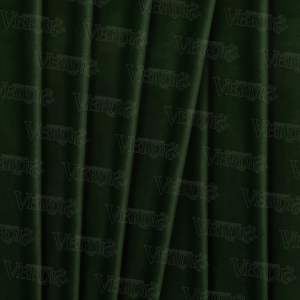 Бархат Светлана