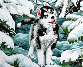 GX 9264 МАЛЕНЬКИЙ ХАСКИ