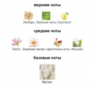 RAMON MOLVIZAR MUSC ORIENTAL GOLDSKIN edp 100ml