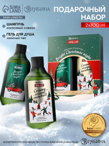 Новогодний подарочный набор косметики Bright Christmas night: гель для душа и шампунь для волос 2?300 мл, URAL LAB