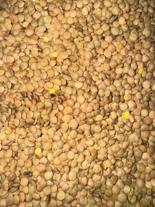 Чечевица зеленая вес 1 кг